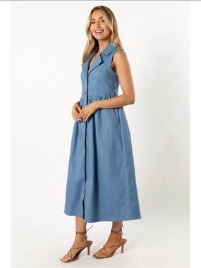 Petal & Pup Sleeveless Button-Front Maxi Dress in Dusty Blue